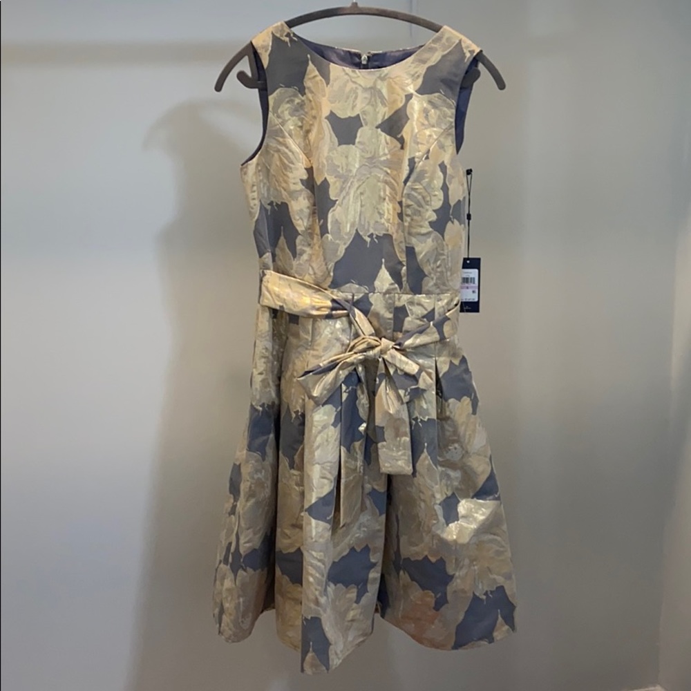 Never Worn Tommy Hilfiger Dress